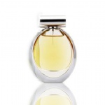 normal size siliver cap perfume bottle with luxury bottle for women